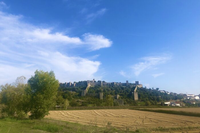 Riverside Ramble: Coimbra to Montemor-o-Velho Castle Cycling Adventure