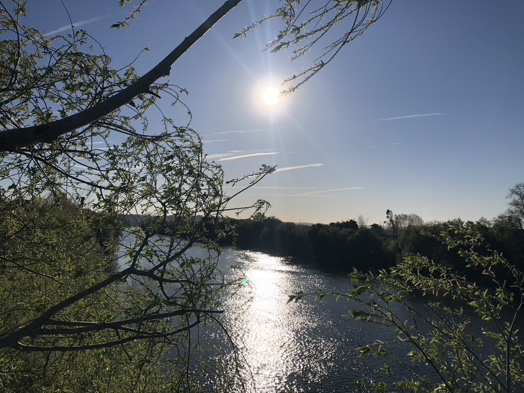 Mondego river near Alfarelos