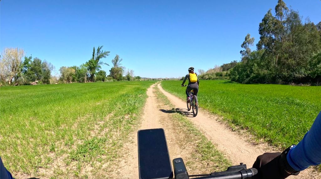 the Mondego River valley with green fields