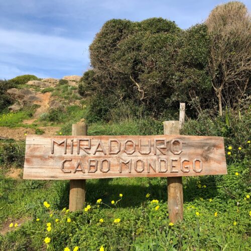 Miradouro Cabo Mondego