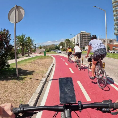 Castles, Canals & Coast: Cycling from Coimbra to Figueira da Foz